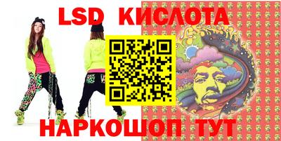 стаф Камышлов