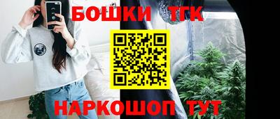 стаф Камышлов