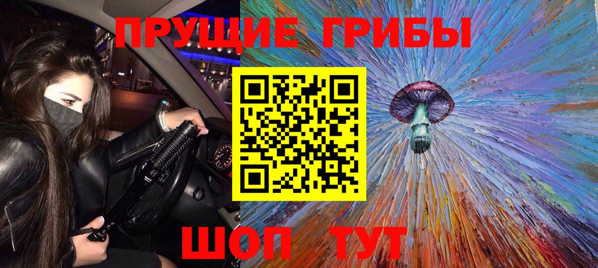 Псилоцибиновые грибы Cubensis Красногорск